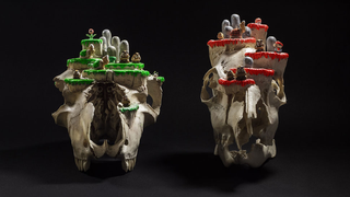 Mario Levels Made Out Of Real Animal Skulls. Creepy.